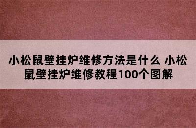 小松鼠壁挂炉维修方法是什么 小松鼠壁挂炉维修教程100个图解